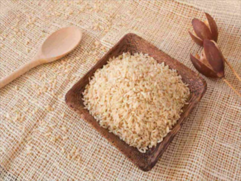 COVID-19 Impact on Rice Protein in the Food and Beverages Industry