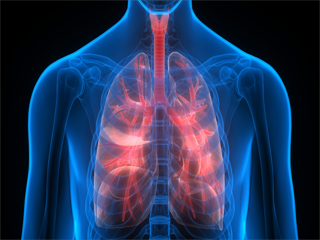 COVID-19 Impact on Primary Pulmonary Hypertension (PPH) Treatment in Healthcare Industry