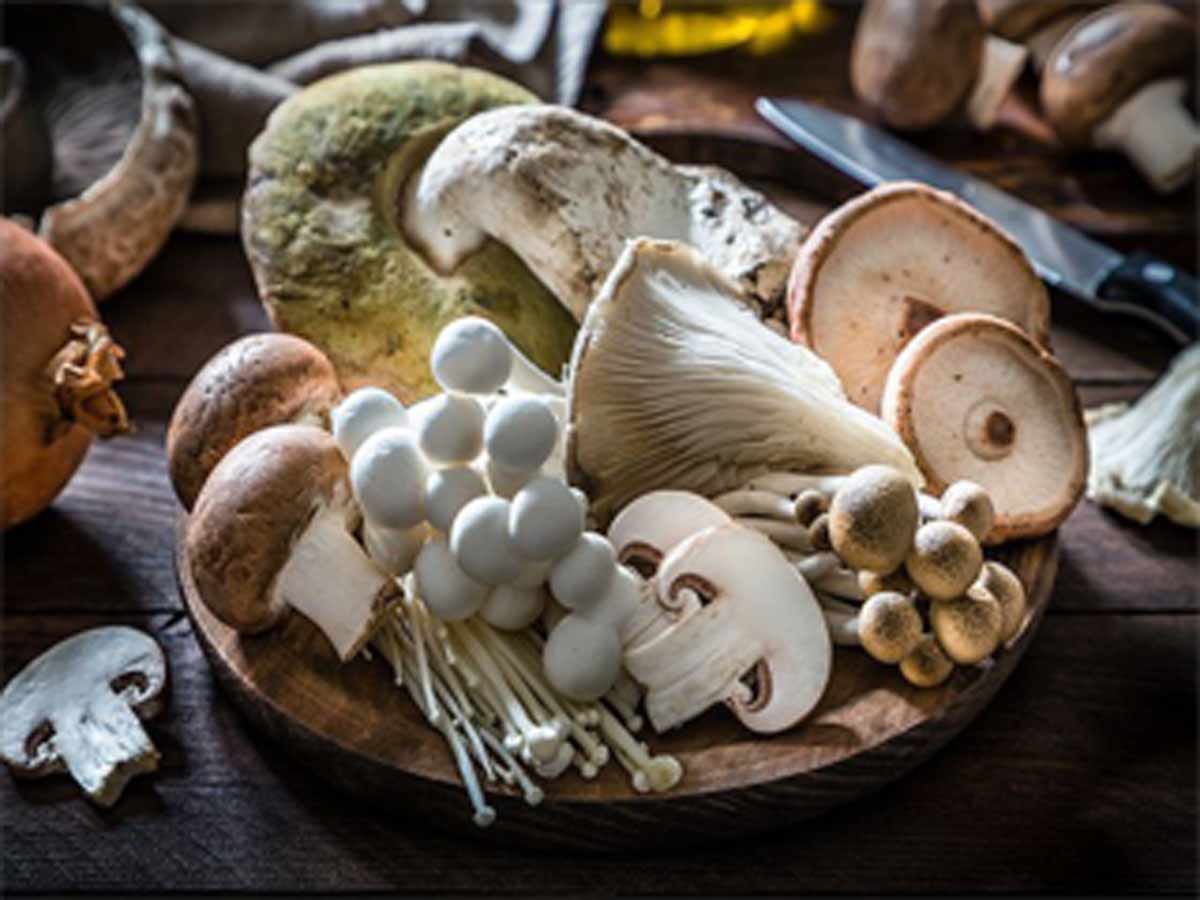 COVID-19 Impact on Medicinal Mushroom in the Food and Beverages Industry