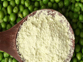 COVID-19 Impact on Pea Protein in Food and Beverages Industry