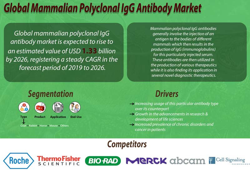 Mammalian Polyclonal IgG Antibody Market