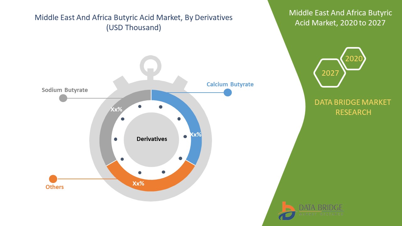 Middle East and Africa Butyric Acid Market 