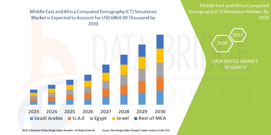 Middle East and Africa CT Simulators Market 