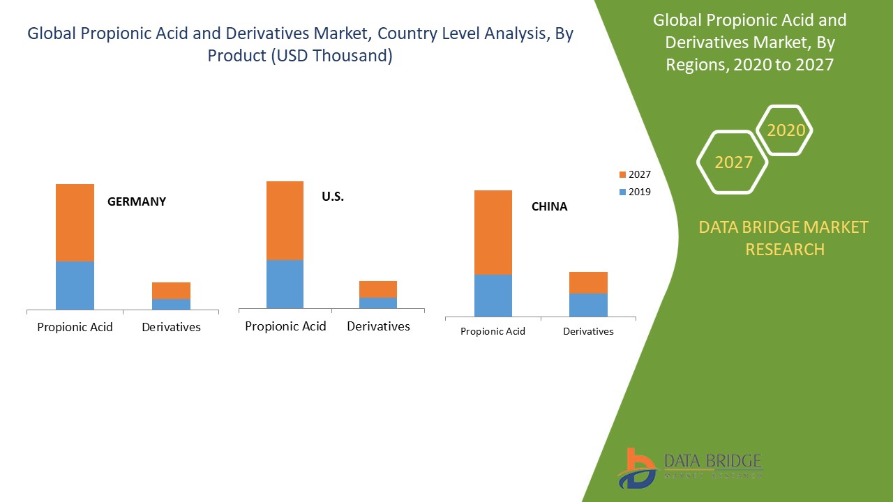 Propionic Acid and Derivatives Market 