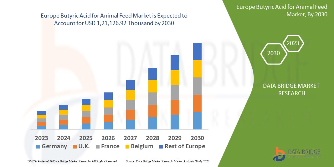 Europe Butyric Acid for Animal Feed Market 