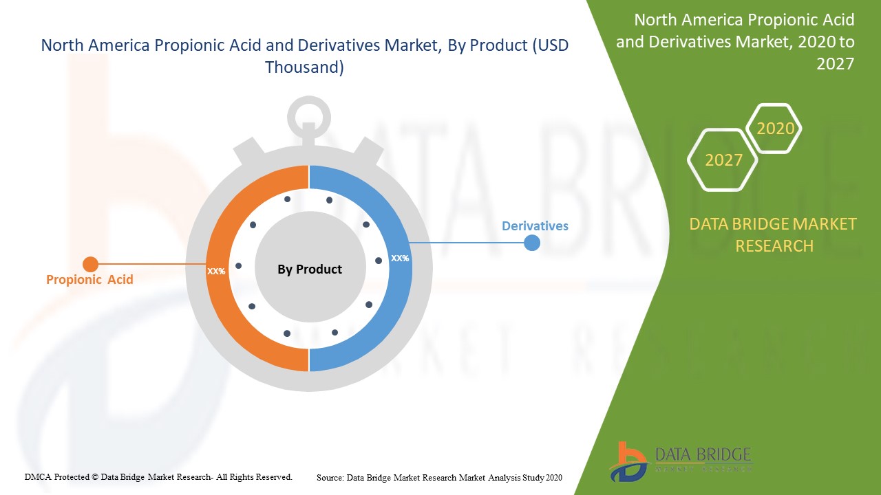 North America Propionic Acid and Derivatives Market