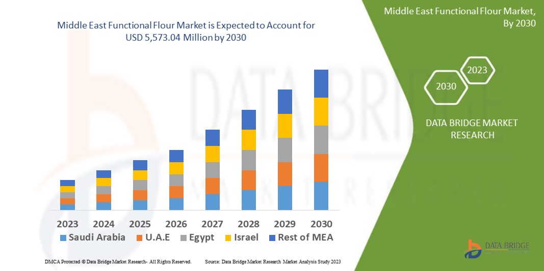 Middle East Functional Flour Market 