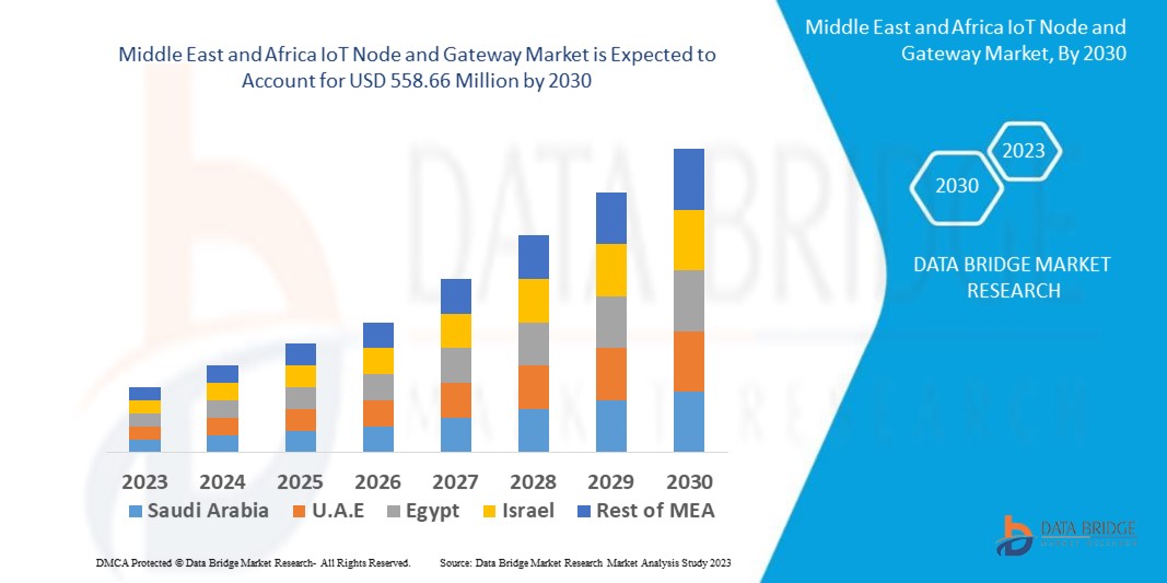 Middle East and Africa IoT Node and Gateway Market
