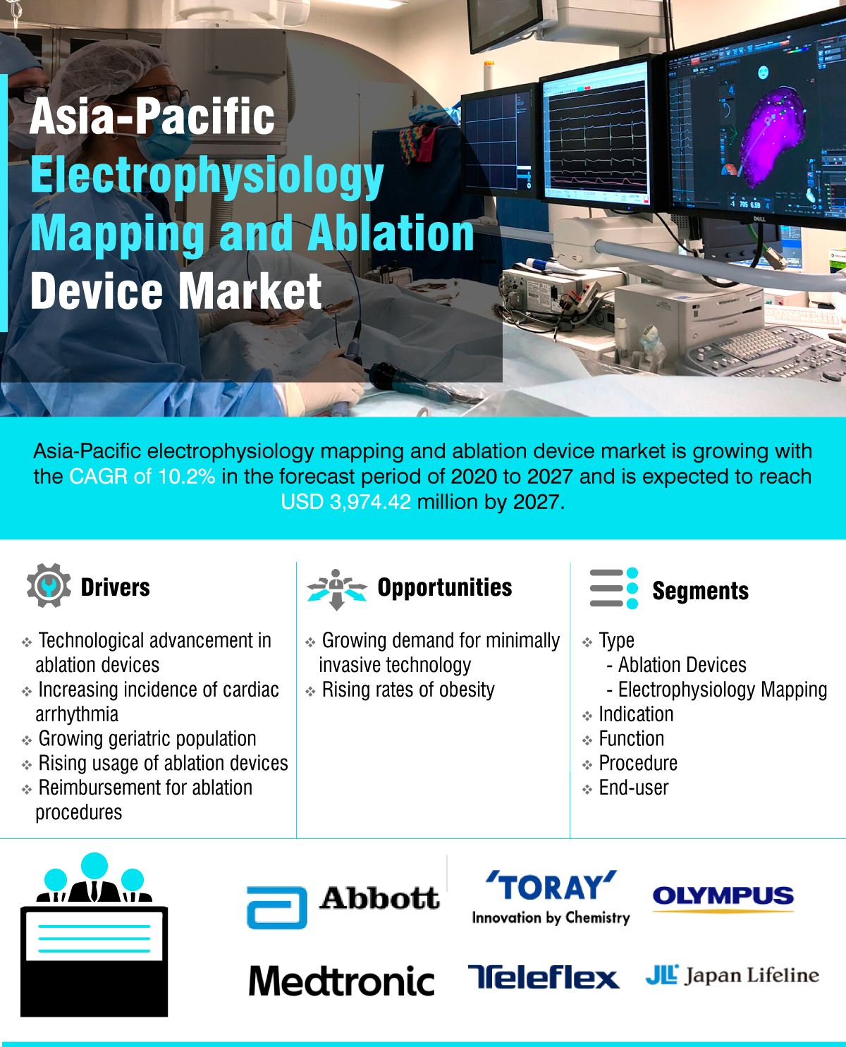 Asia-Pacific Electrophysiology Mapping and Ablation Devices Market