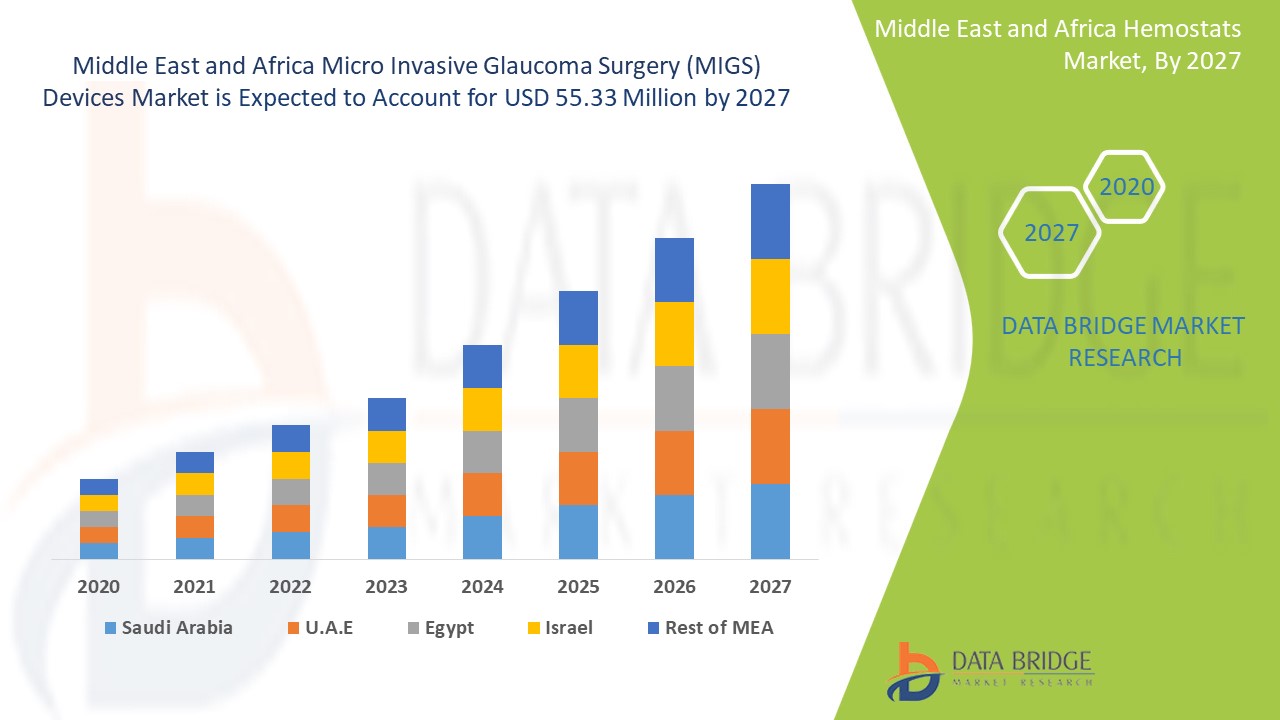 Middle East and Africa Micro Invasive Glaucoma Surgery (MIGS) Devices Market 