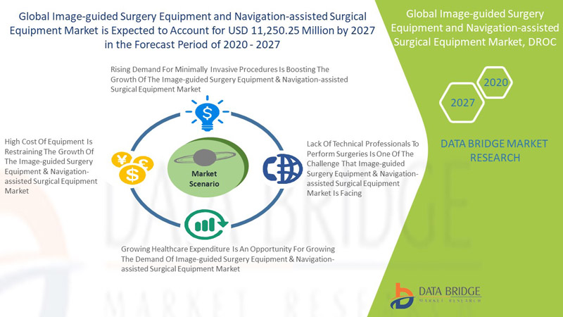  Image-Guided Surgery Equipment and Navigation-Assisted Surgical Equipment Market 