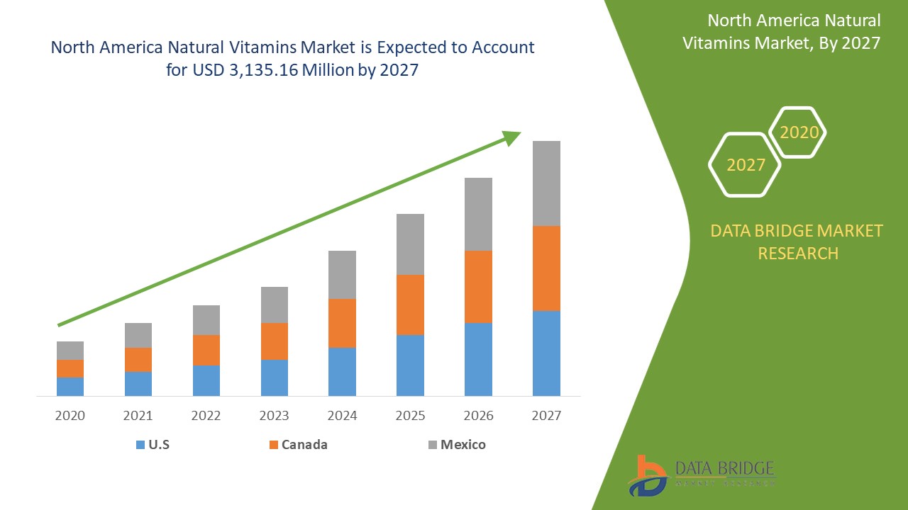 North America Natural Vitamins Market 
