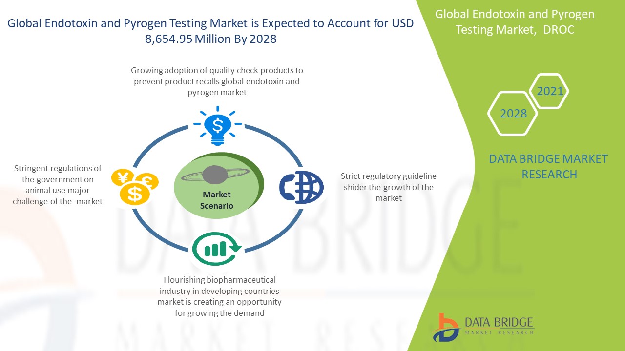 Endotoxin and Pyrogen Testing Market