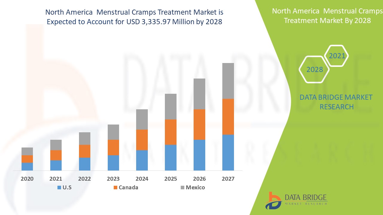 North America Menstrual Cramps Treatment Market