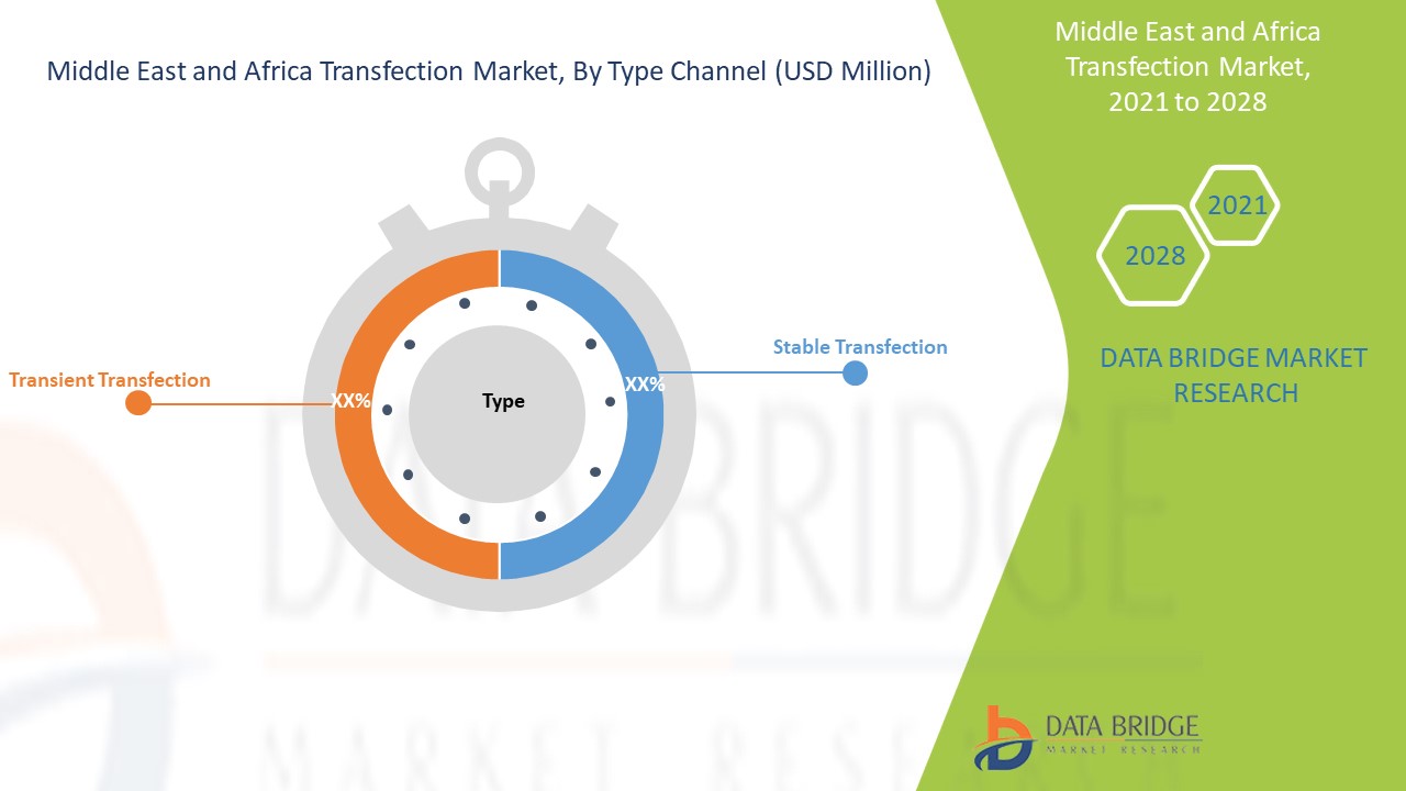 Middle East and Africa Transfection Market