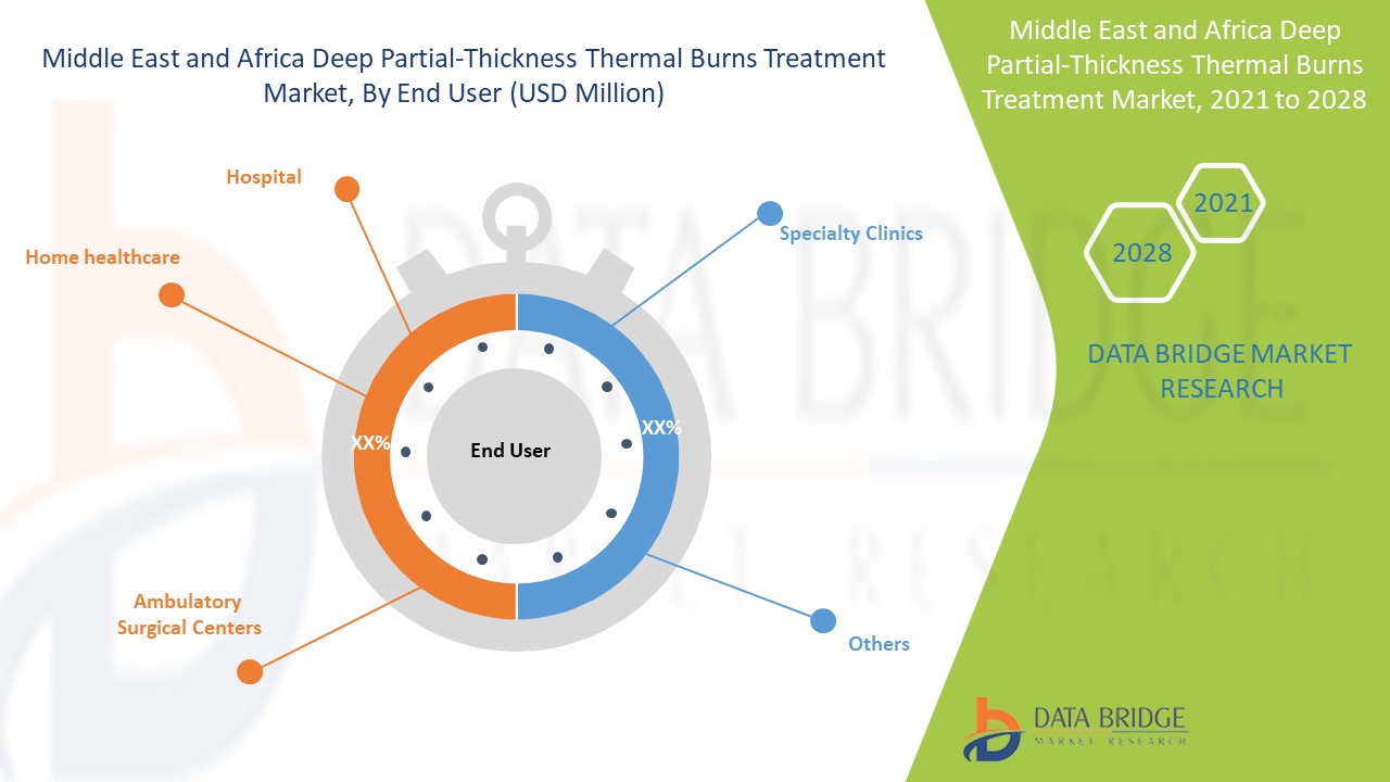 Middle East and Africa Deep Partial-thickness Thermal Burns Treatment Market
