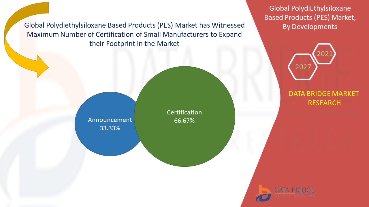 Polydiethylsiloxane Based Products (PES) Market