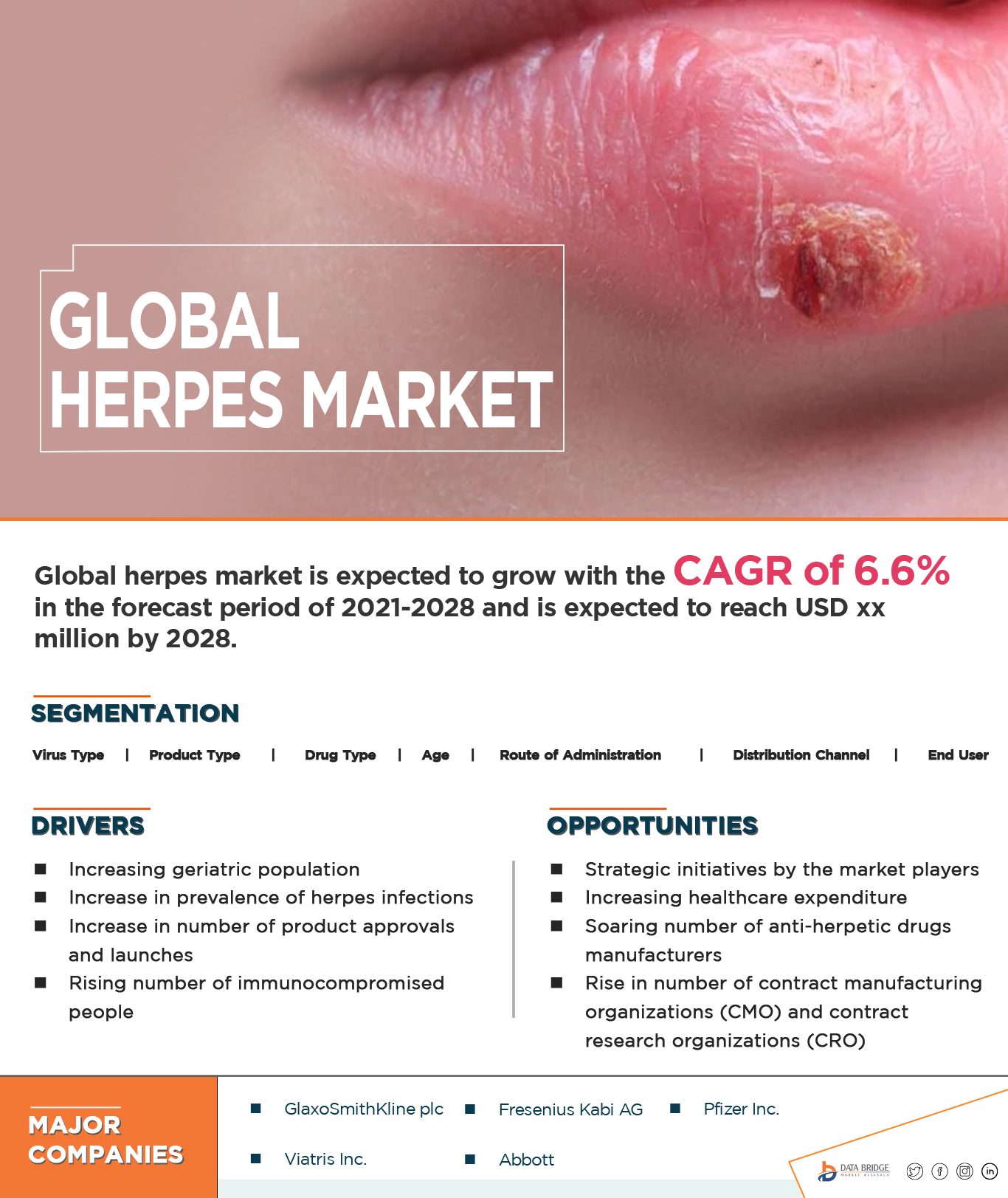 Herpes Market