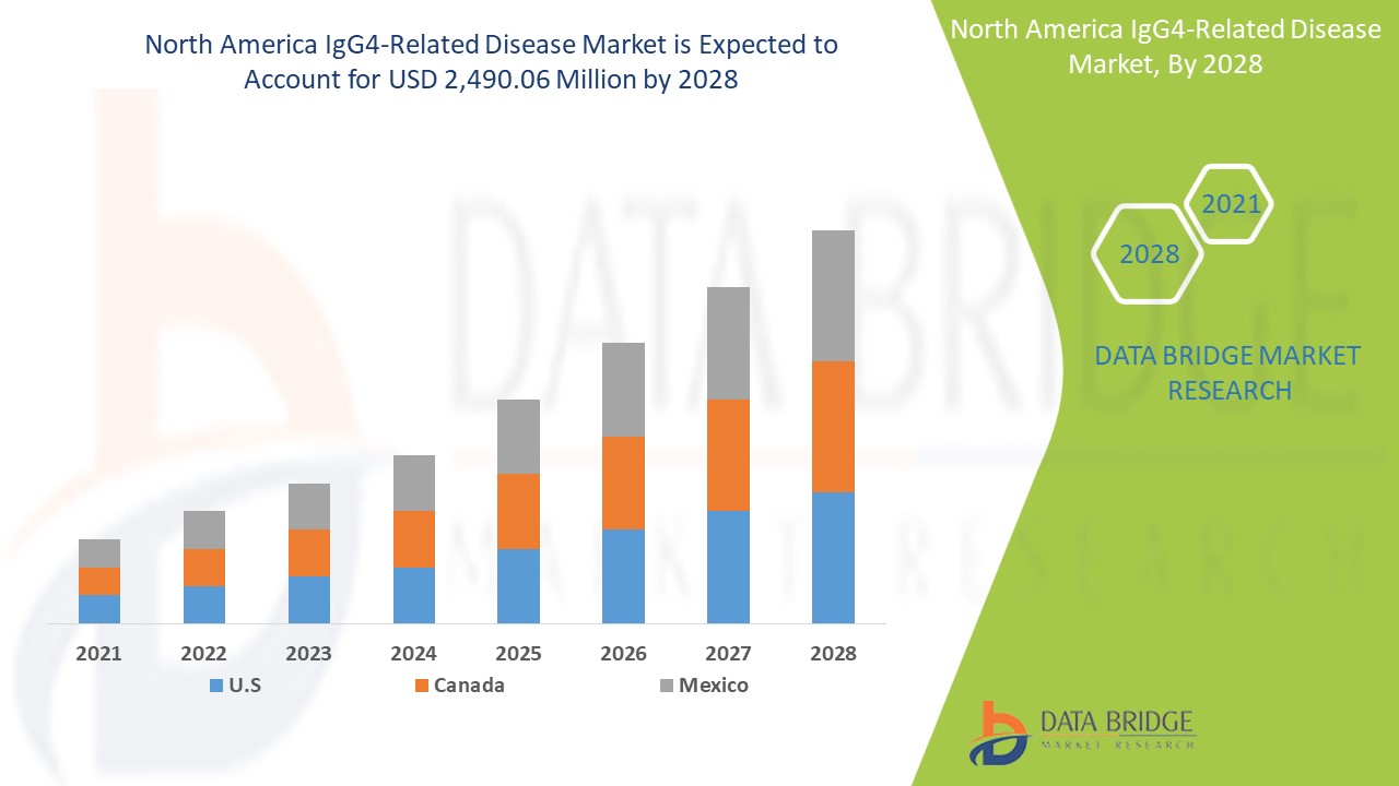 North America IgG4-Related Disease Market 