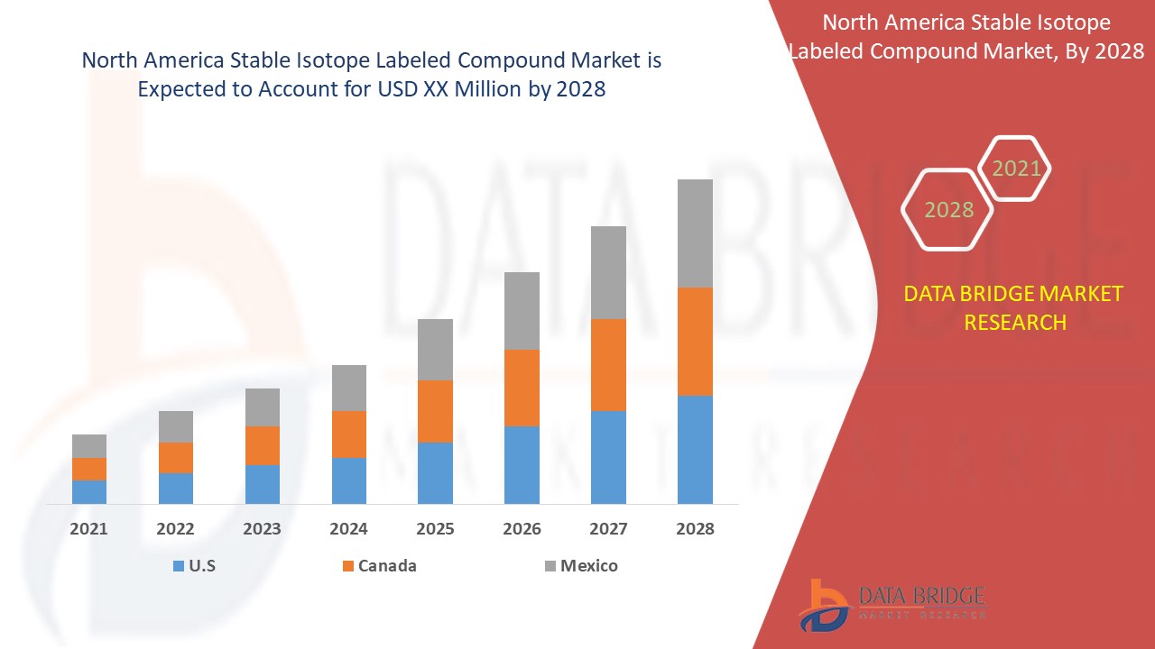 North America Stable Isotope Labeled Compound Market 