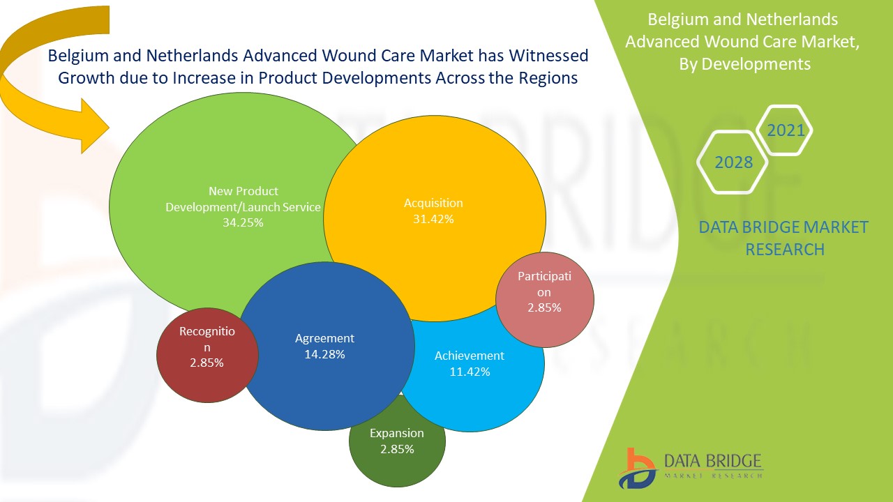 Belgium and Netherlands Advanced Wound Care Market 