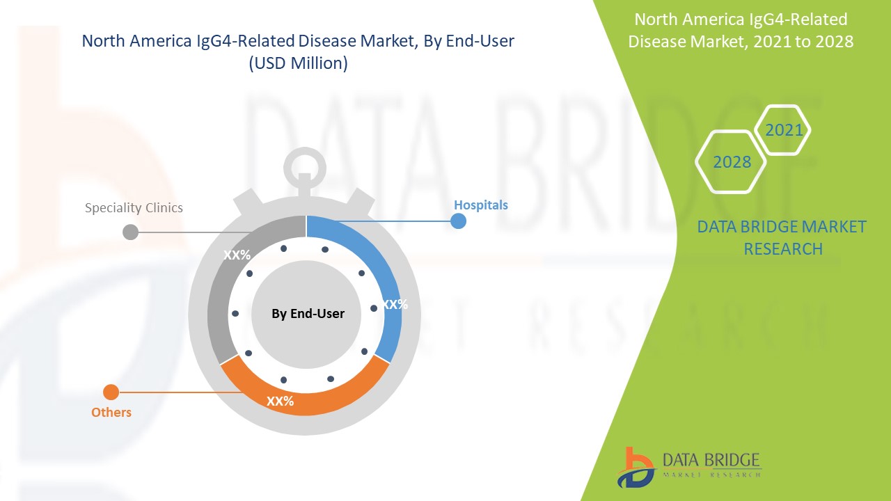 North America IgG4-Related Disease Market 