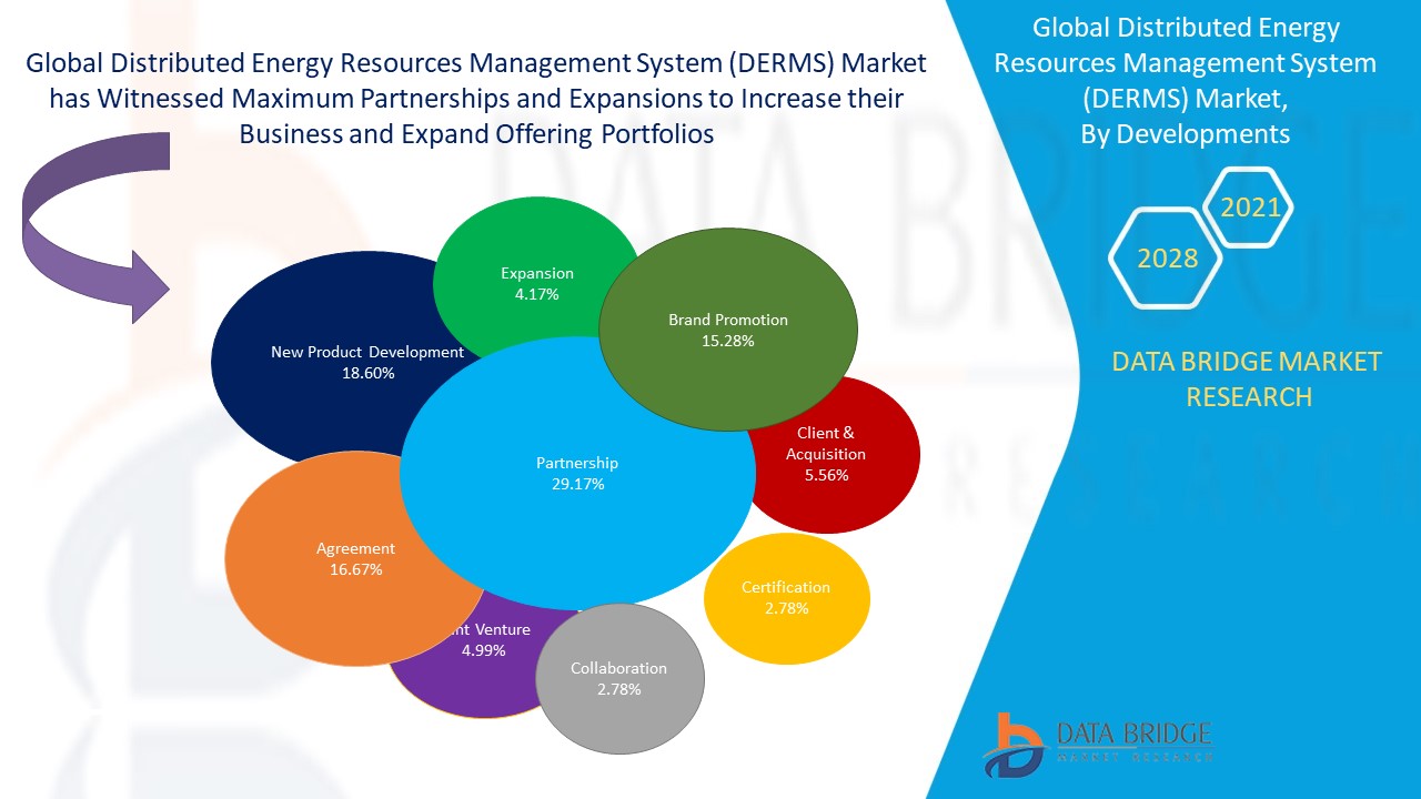 Distributed Energy Resources Management System (DERMS) Market