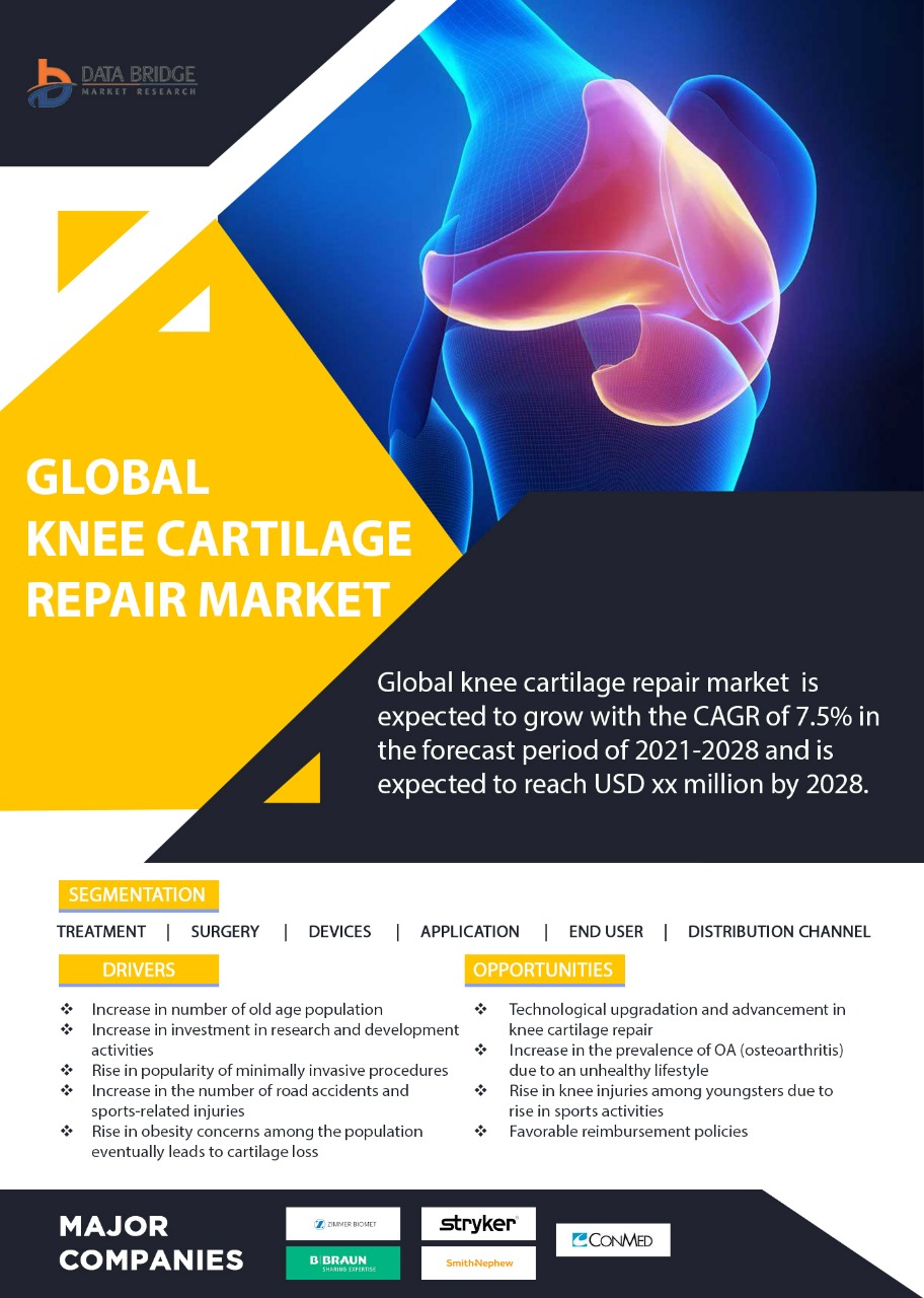 Knee Cartilage Repair Market