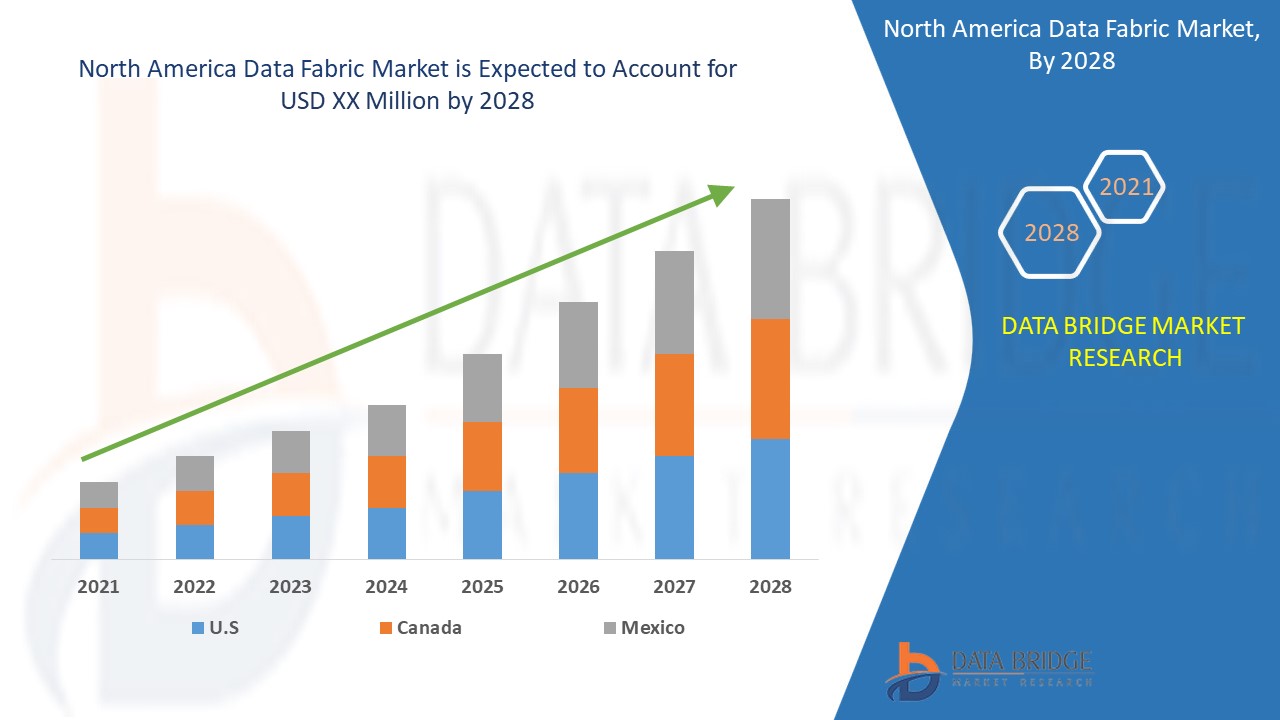 North America Data Fabric Market 