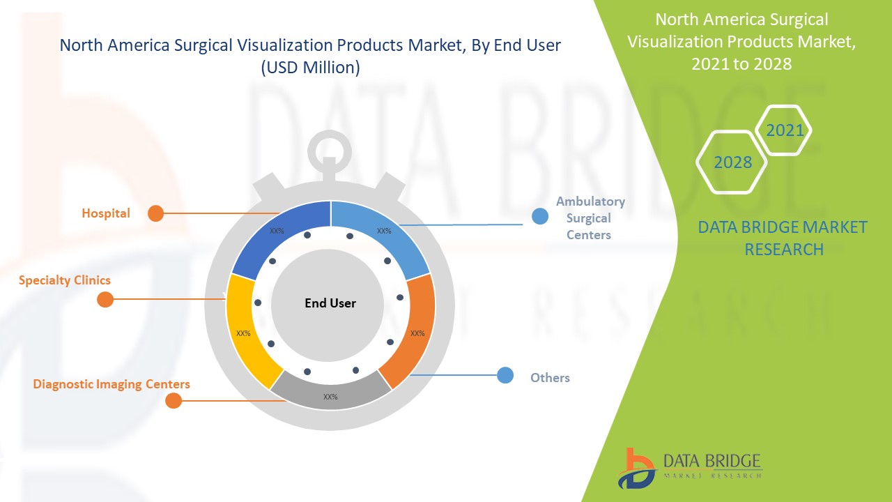 North America Surgical Visualization Products Market