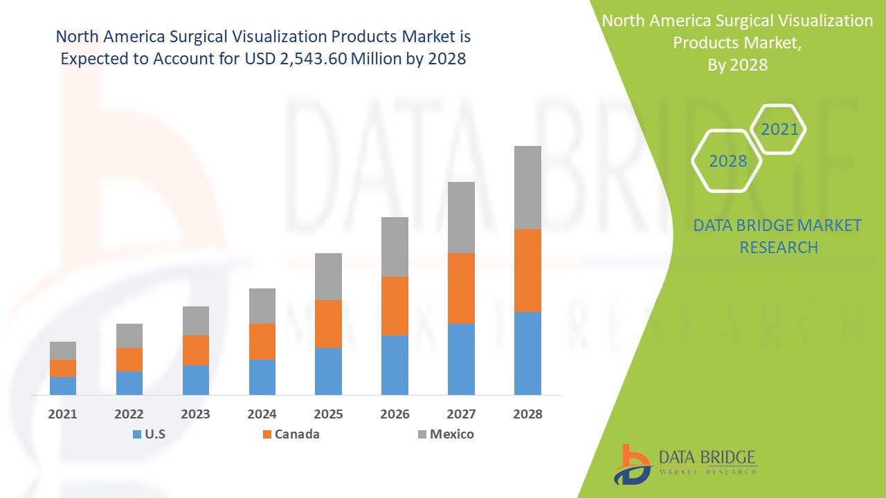 North America Surgical Visualization Products Market