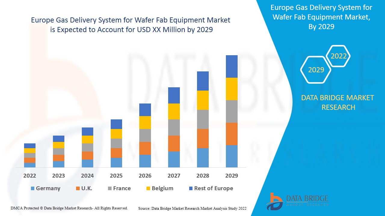 Europe Gas Delivery System for Wafer Fab Equipment Market