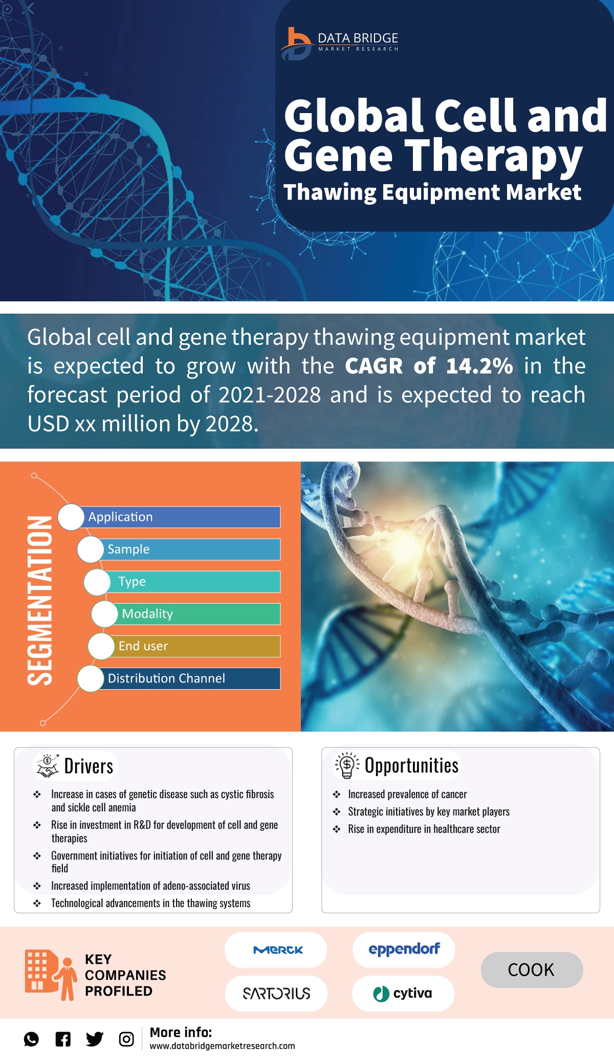Cell and Gene Therapy Thawing Equipment Market