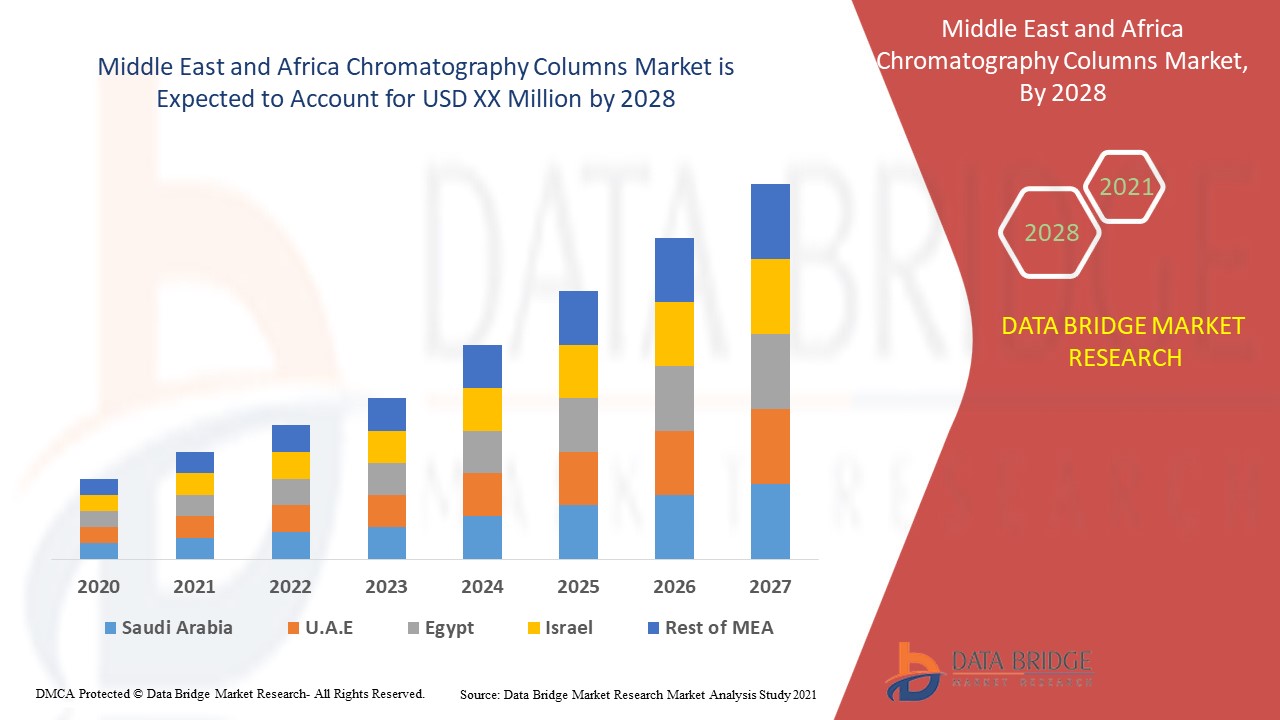 Middle East and Africa Chromatography Columns Market 