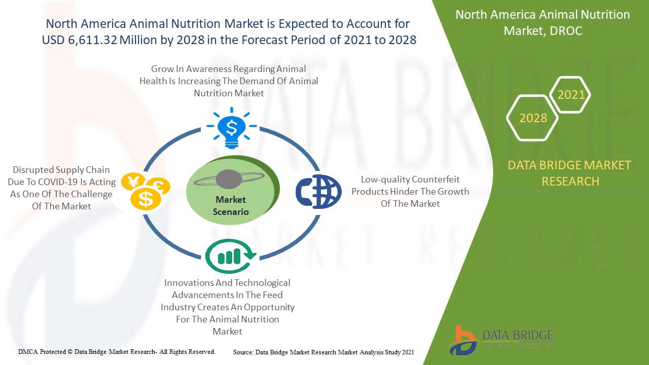 North America Animal Nutrition Market 