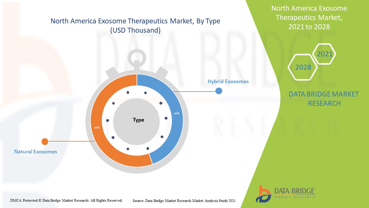 North America Exosome Therapeutics Market 