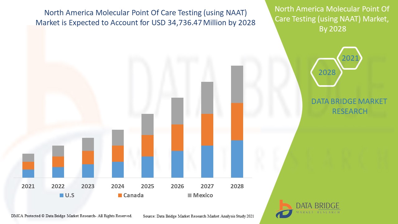 North America Molecular Point Of Care Testing (using NAAT) Market 