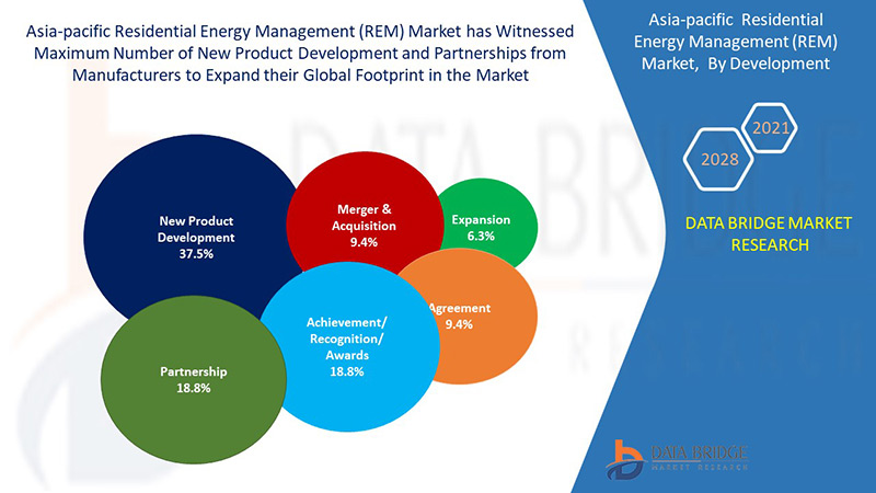 Asia-Pacific Residential Energy Management (REM) Market