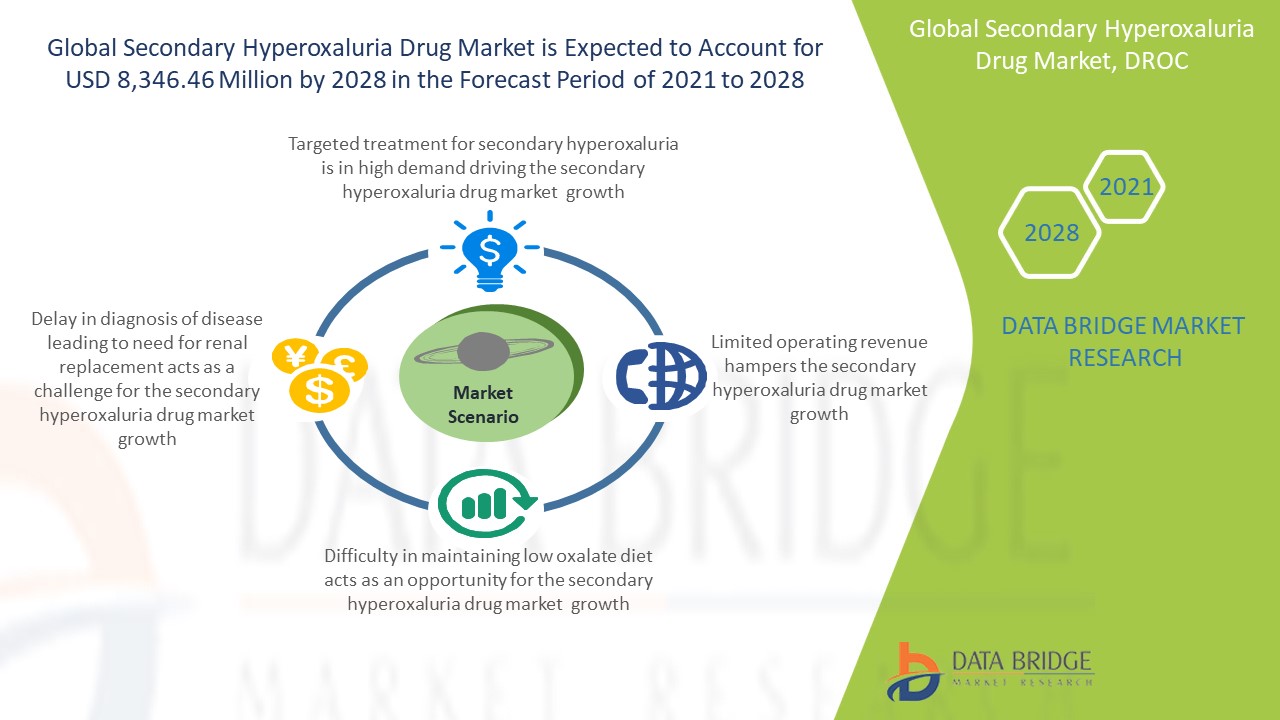 Secondary Hyperoxaluria Drug Market