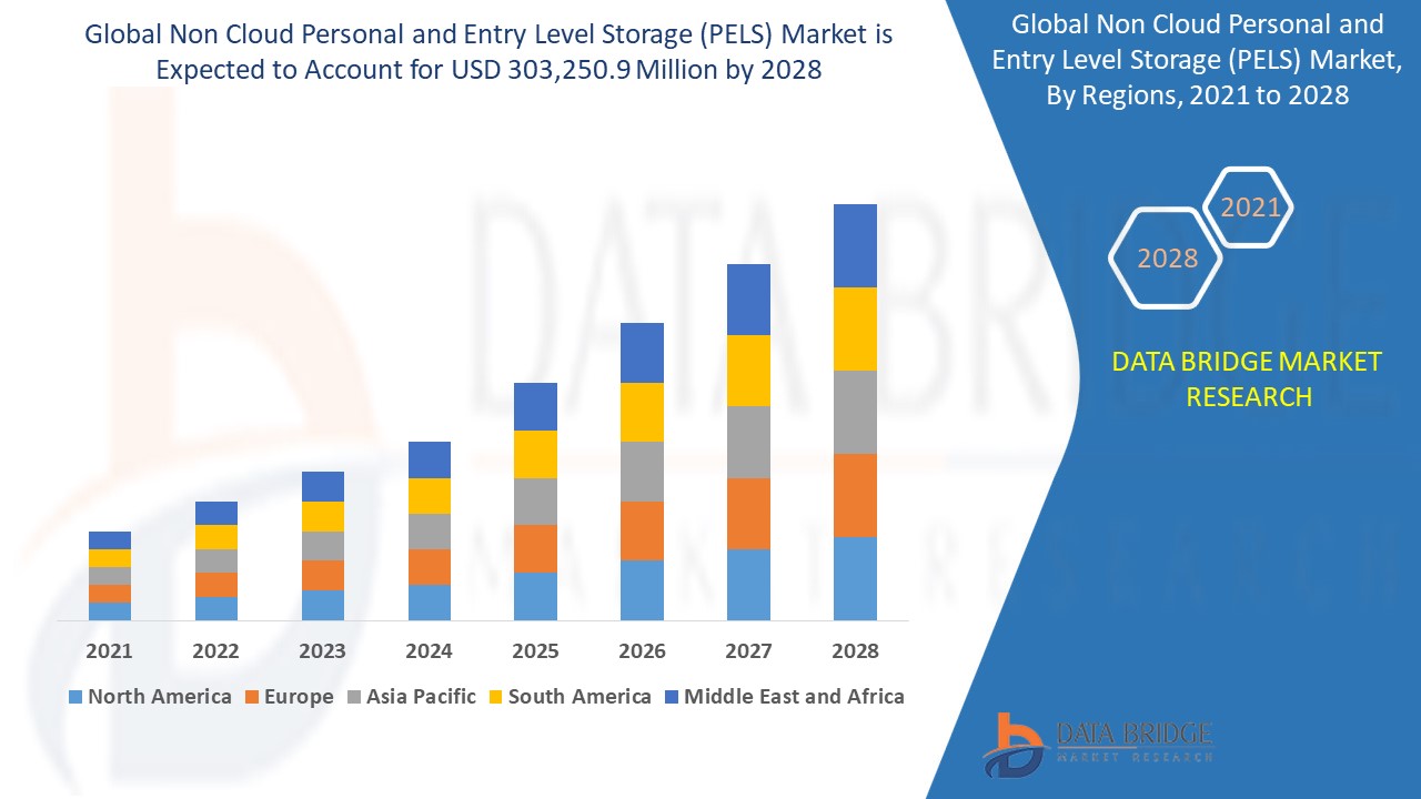 Non Cloud Personal and Entry Level Storage (PELS) Market 