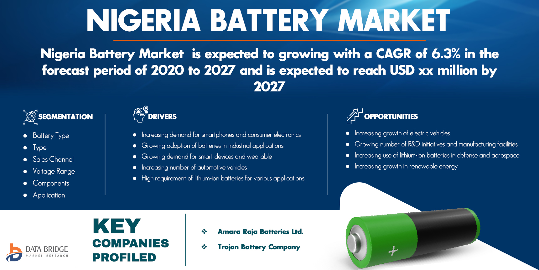 Nigeria Battery Market