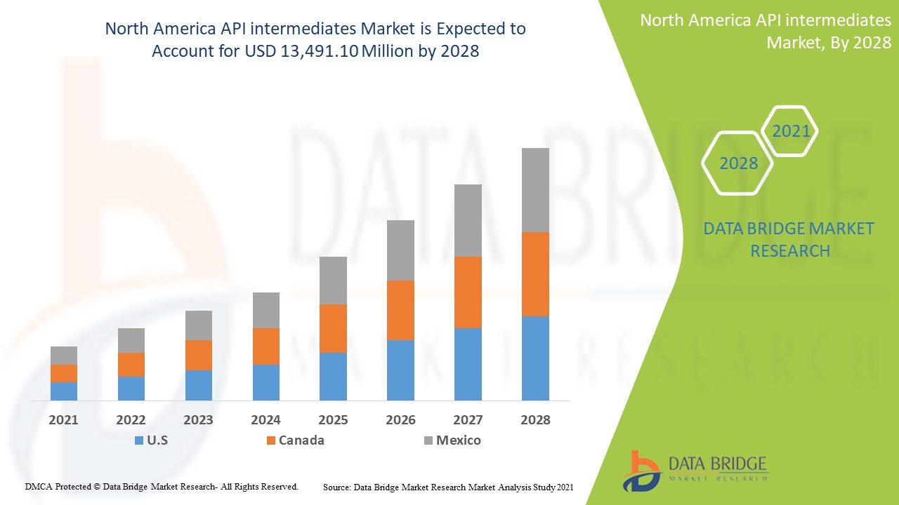 North America API intermediates Market