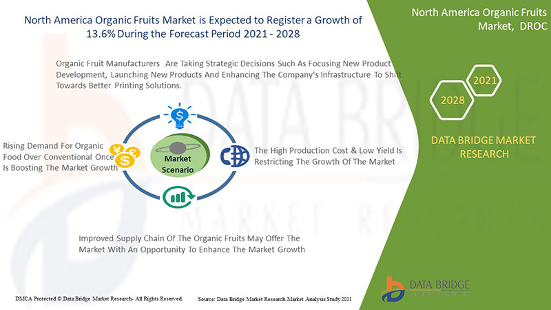 North America Organic Fruits Market