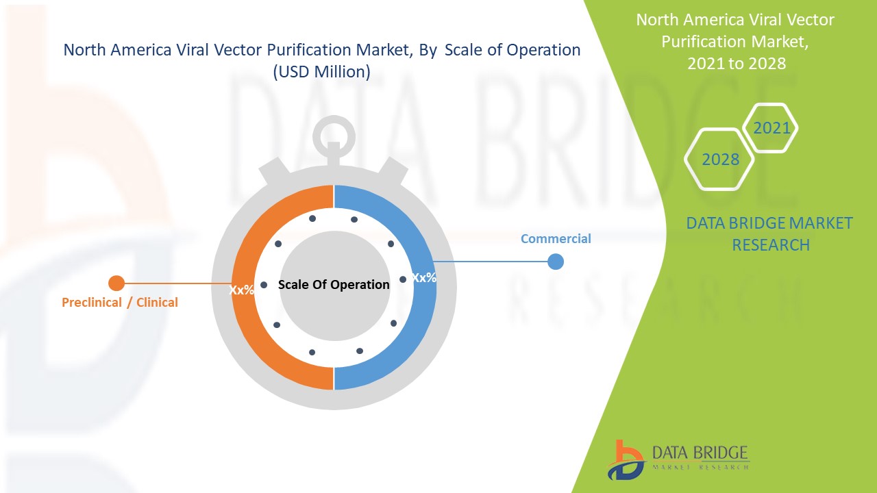 North America Viral Vector Purification Market 