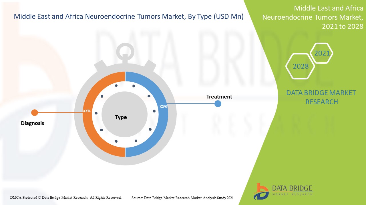 Middle East and Africa Neuroendocrine Tumors Market