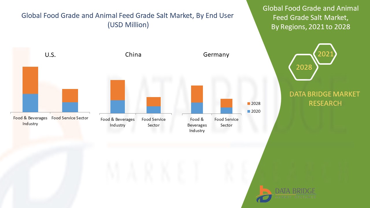 Food Grade and Animal Feed Grade Salt Market 