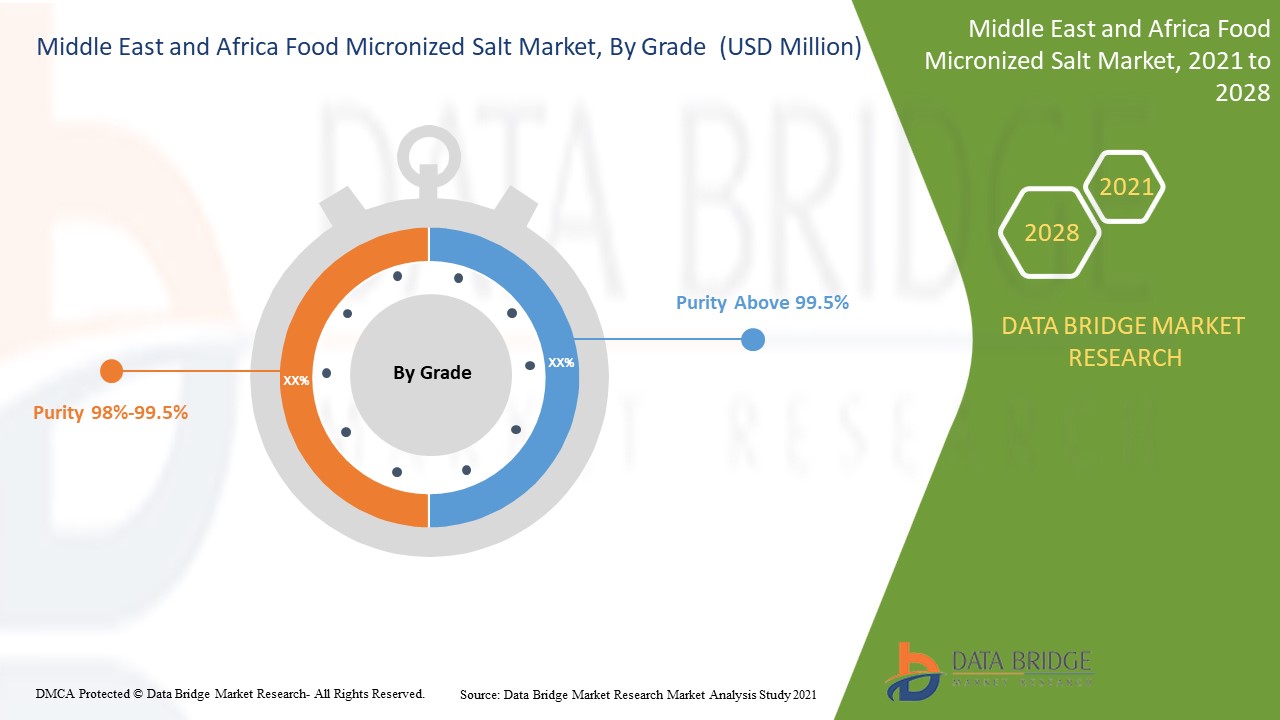 Middle East and Africa Food Micronized Salt Market