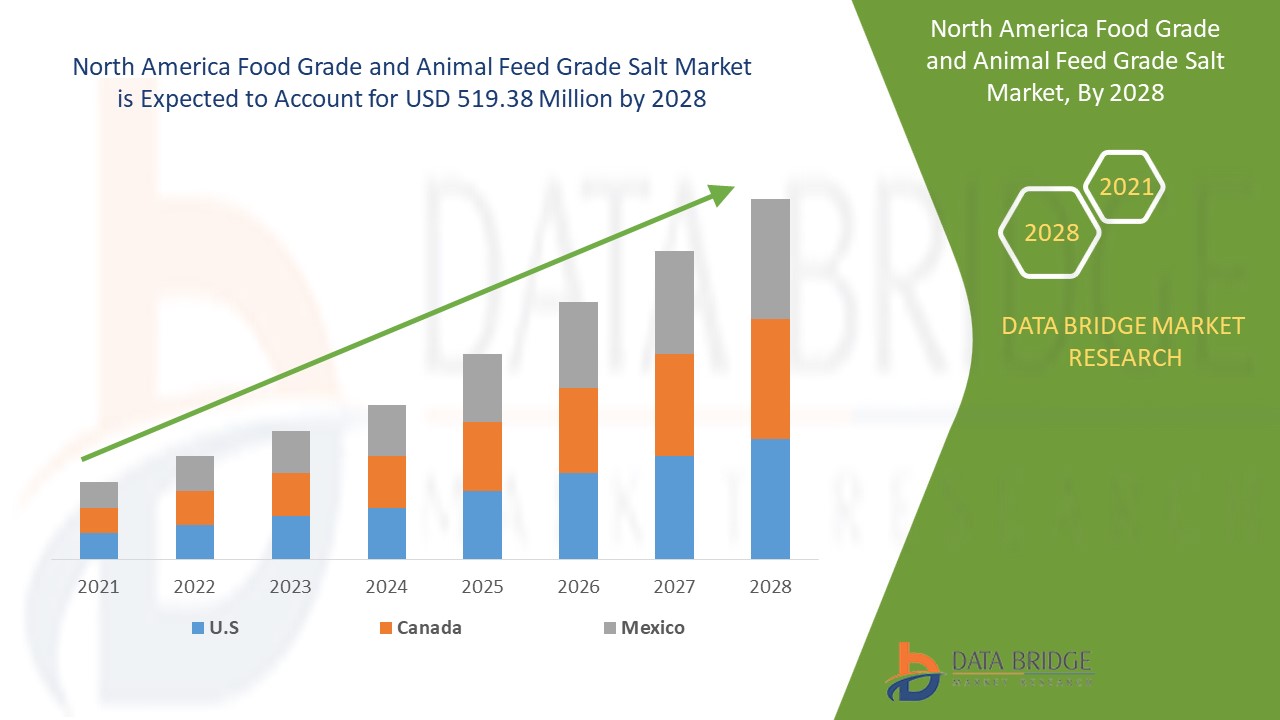 North America Food Grade and Animal Feed Grade Salt Market 