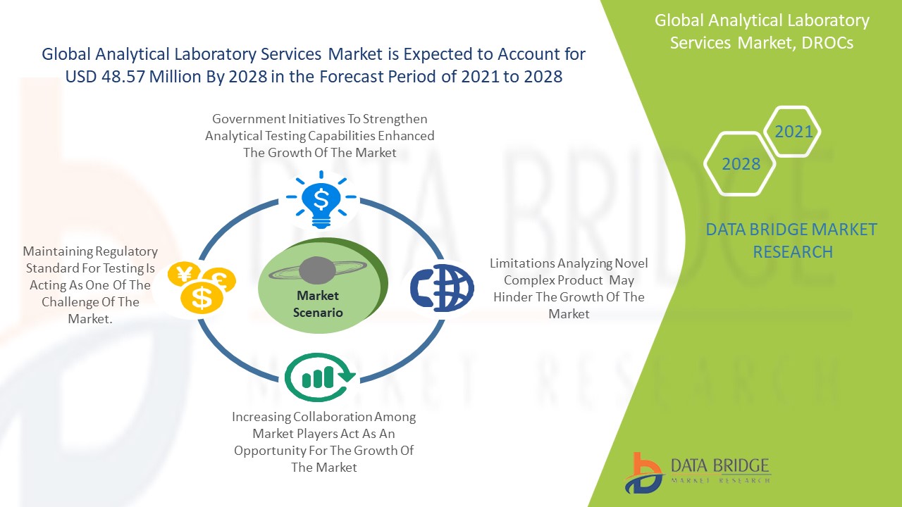 Analytical Laboratory Services Market 