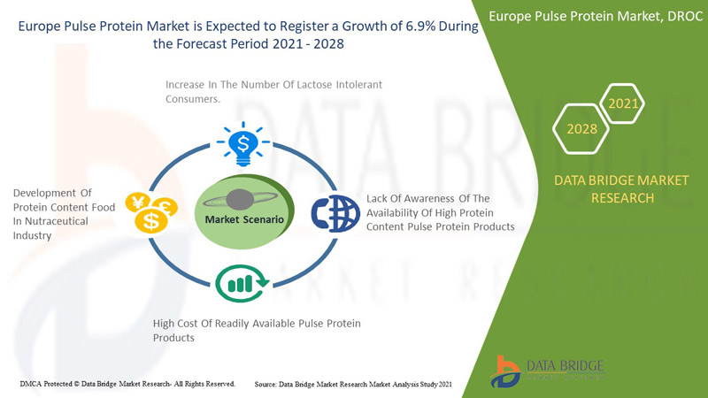 Europe Pulse Protein Market